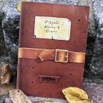 Das Tagebuch von Pitfall Harry. (Bild: André Eymann)